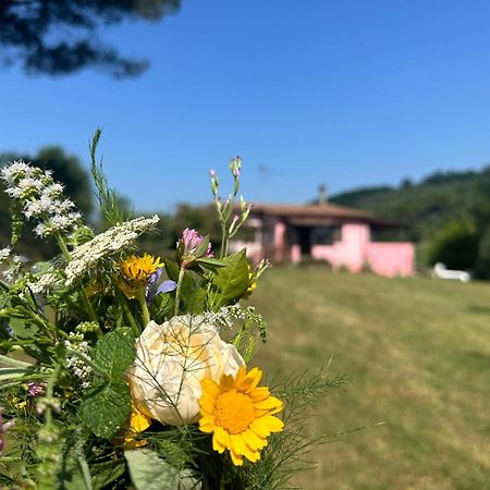 Agriturismo Campolungo Sant'Ermo Exteriér fotografie