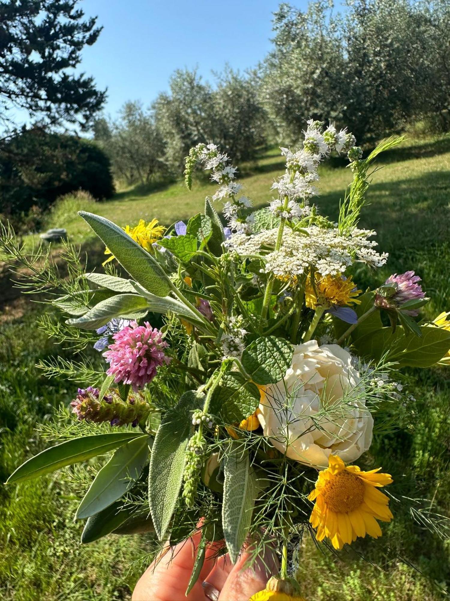 Agriturismo Campolungo Sant'Ermo Exteriér fotografie